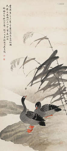 吴青霞（1910-2008） 芦雁 纸本设色 立轴