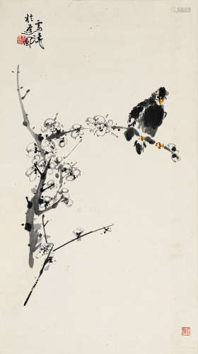 王雪涛（1903-1982） 八哥 纸本设色 立轴