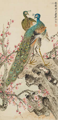 吴寿谷（1912-2008） 孔雀 绢本设色 镜心
