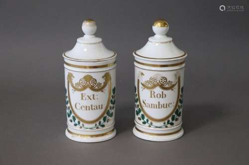 DEUX POTS A PHARMACIE en porcelaine émaillée polychrome, ins...