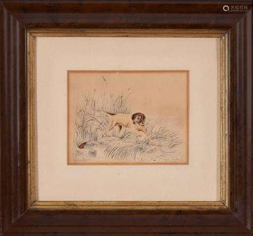 Richard ANSDELL (1815-1885) Pointer et Bécasse Crayon et aqu...