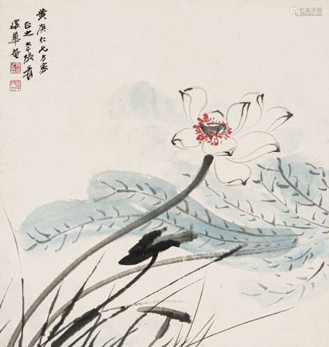 张大千（1899-1983） 荷花 纸本设色 镜心