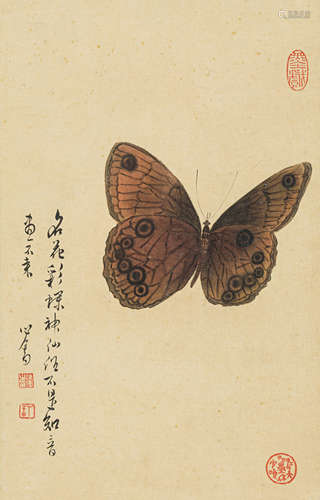 溥 儒（1896-1963） 蝴蝶 纸本设色 镜框