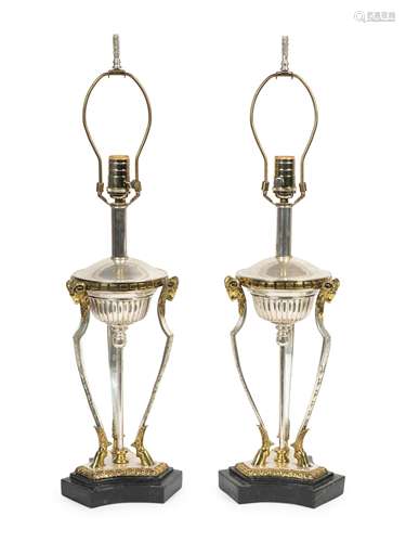 A Pair of Neoclassical Style Silvered and Gilt Metal