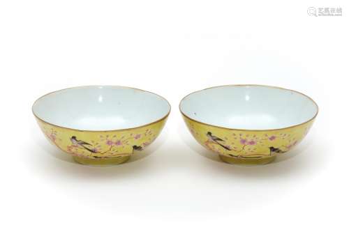 A Pair of Yellow Ground Magpies and Plum Flower with