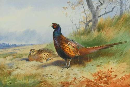 Archibald Thorburn (Scottish, 1860-1935)