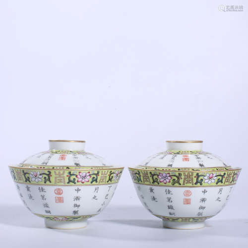 A pair of pastel covered bowls in Jiaqing of Qing Dynasty