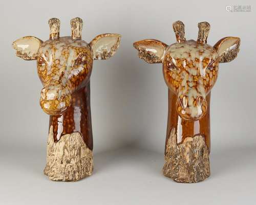 Two giraffe heads