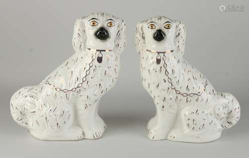 Pair of antique English Staffordshire dogs