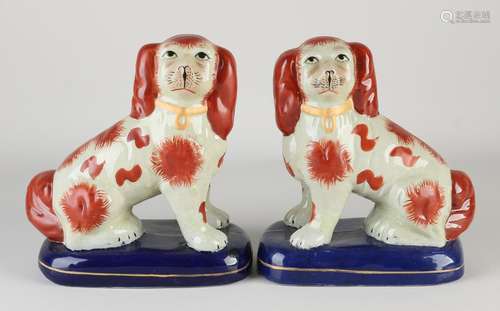 Two Staffordshire dogs