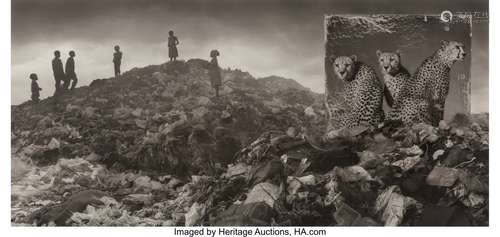 Nick Brandt (British, 1964) Wasteland with Cheet