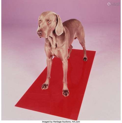 William Wegman (American, 1943) Red Tide, 2001 D