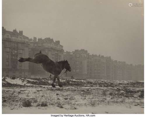 Sabine Weiss (Swiss, 1924) Cheval, 1952 Gelatin