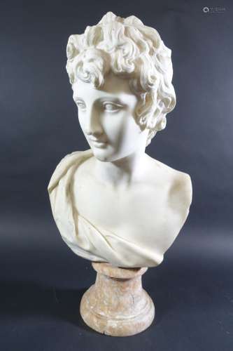 Buste d'Apollon en marbre blanc, sur piédouche en marbre vei...