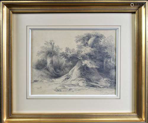 BLERY Eugène-Stanislas (1805-1887) : Paysage aux arbres. Cra...