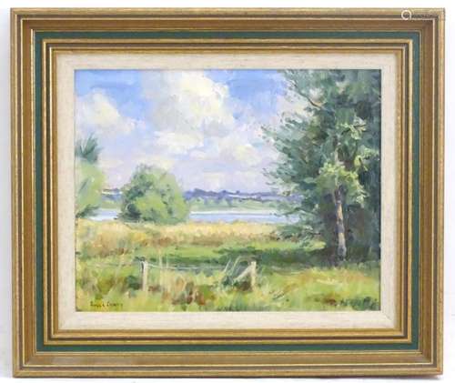 Roger Corfe, 20th century, Oil on board, Pitsford Water Natu...