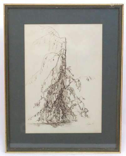 T. Makins, 20th century, Pen and ink, Weeping Willow, A stud...