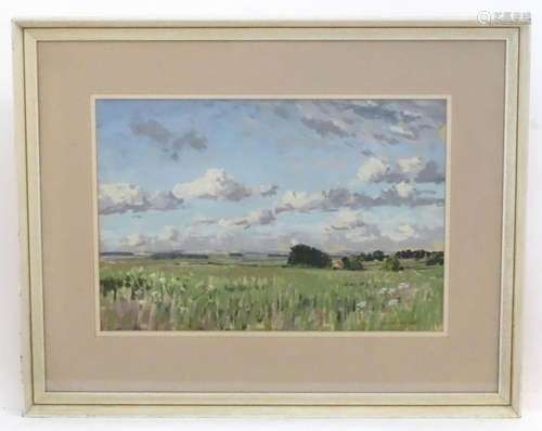 Angus Bernard Rands (1922-1985), Pastel, July Evening, Middl...