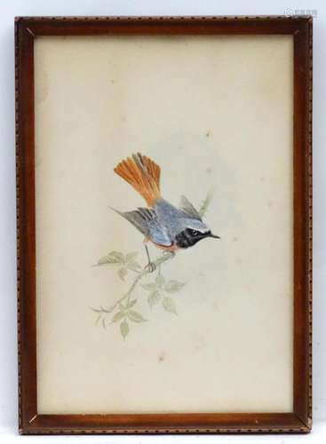 A. J. G. Bricknell, Early 20th century, Watercolour, A study...