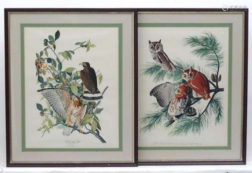 After John James Audubon (1785-1851), Colour prints, Little ...