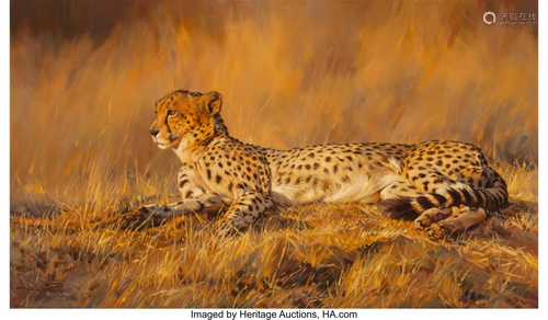 Dino Paravano (Italian/American, b. 1935) Cheeta