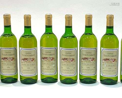 12 Btes Chateau Tour Puymirand 1989 (Entre-deux mers) Niveau...