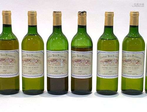 12 Btes Chateau Tour Puymérand 1987 Etiquettes et capsules b...