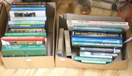 Collection of cricket books