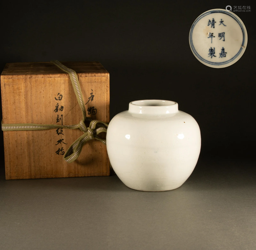 Ming Dynasty - white glazed dragon pattern pot