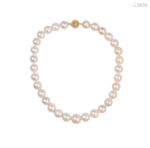 South Sea Pearl Choker with 18K Gold Clasp