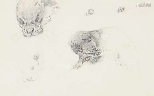 Archibald Thorburn ARA, Scottish 1860-1935 - Otter Studies; ...