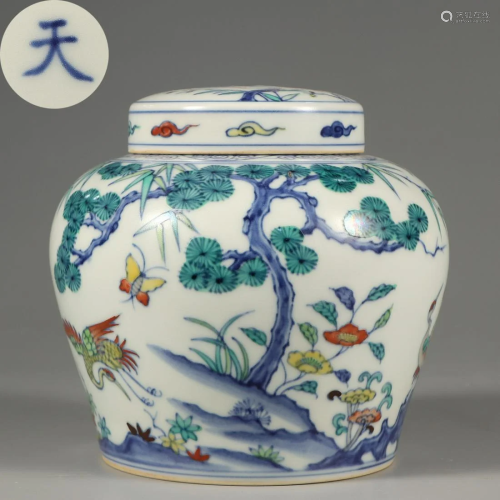 A Doucai Glazed Jar with Cover Qing Dynasty