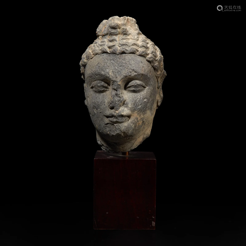 A carved schist head of a Buddha, Gandhara 健