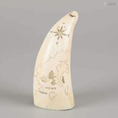 Scrimshawed sperm whale tooth from its lower jaw, marine-ivo...