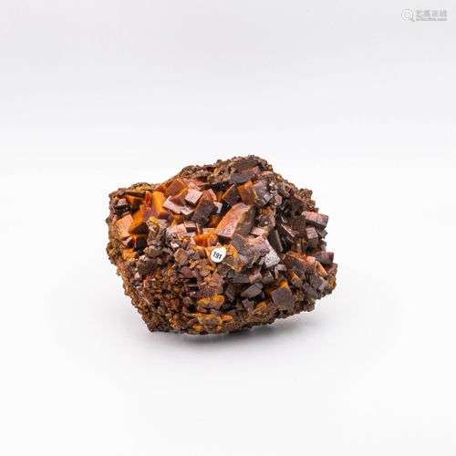 GRANDE WULFENITE LOS LAMENTOS Mexique (13cm)