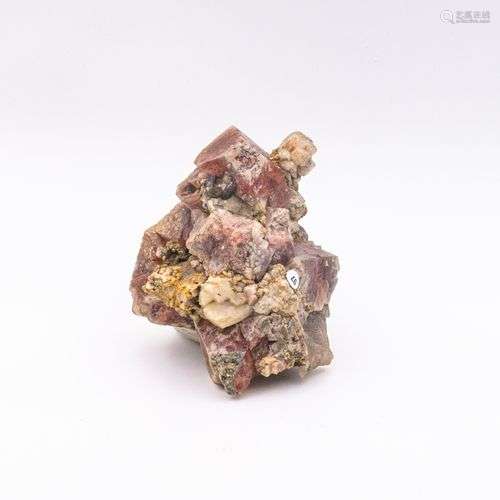 FLUORINE ROSE ARGENTIERES MT BLANC (10cm)