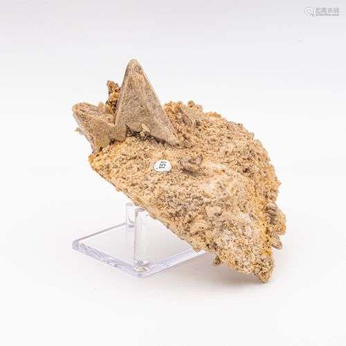 HERDERITE MACLEE SUR GANGUE AFRANIO BRESIL (15cm)