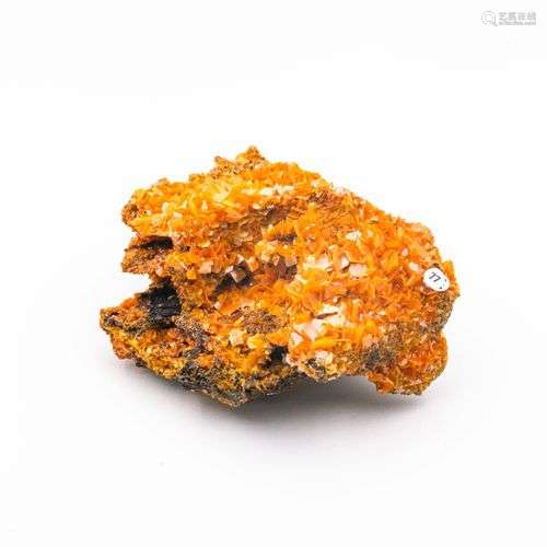 JOLIE WULFENITE MIBLADEN MAROC (12cm)