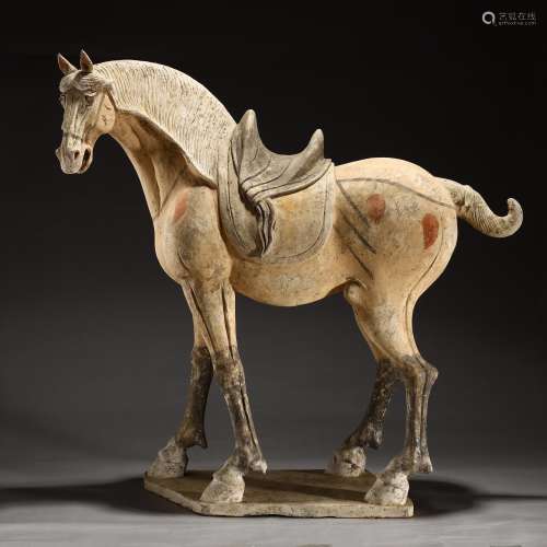 Tang painted pottery horse
