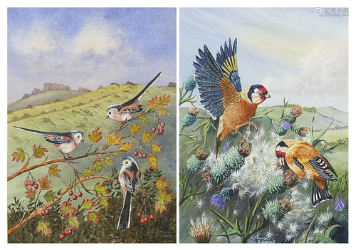 Jo Swinn - Birds before landscapes, pair of