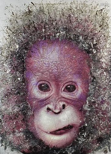 Dan Pearce - Young orangutan, smashed glass and spray