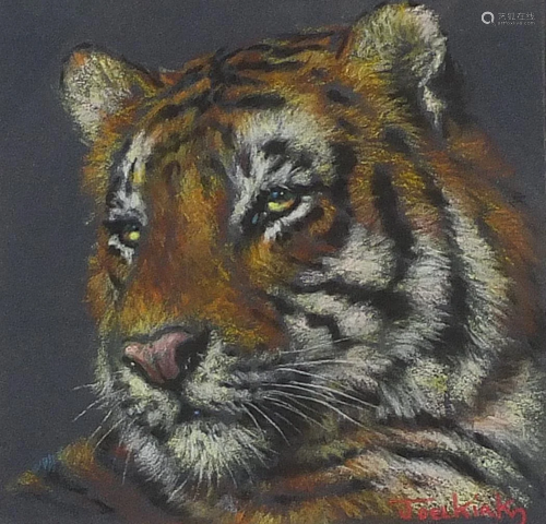 Joel Kirk - Portrait of a tiger, pastel, Gladwell &