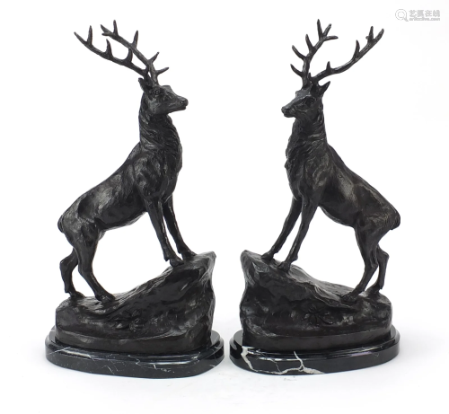 Pair of large patinated bronze stags raised on black