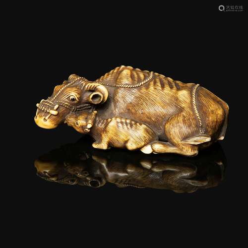 ~GRAND NETSUKE en ivoire et rehauts bruns, représentant un b...