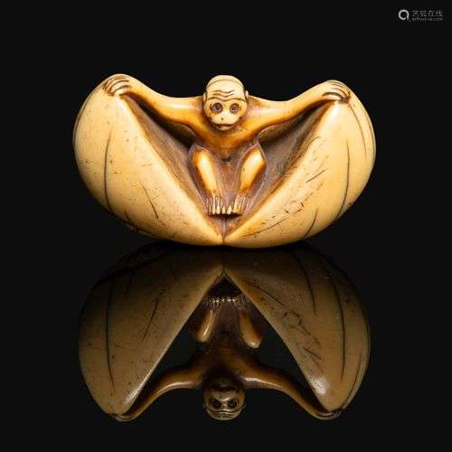 ~ NETSUKE en ivoire représentant un singe sortant d'une pêch...