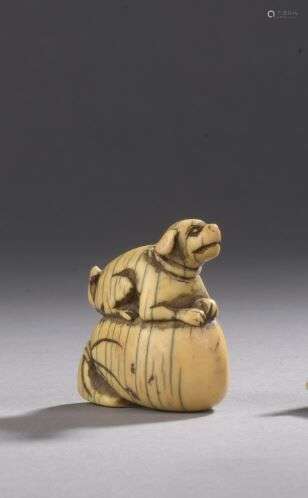 JAPON, Période EDO (1603-1868), XVIIIème siècle Netsuke en i...