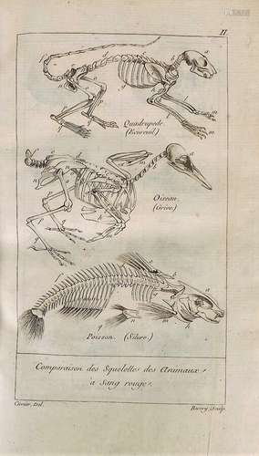 CUVIER (Georges). TABLEAU ELEMENTAIRE DE L'HISTOIRE NATURELL...