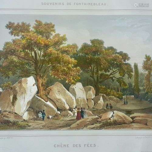 FONTAINEBLEAU. Estampe lithographiée du XIX siècle. CHENE DE...