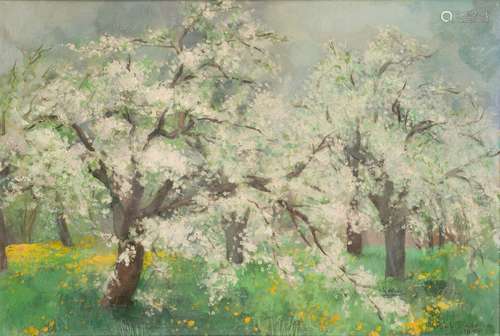 Kreel Daamen (1916-1993), Apple blossom.