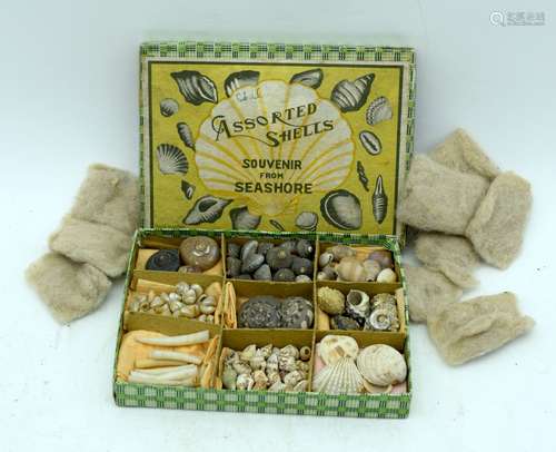 A vintage souvenir boxed set of assorted shell 14 x 10cm.